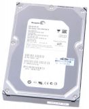 Seagate 250 GB 7.2K SATA 3.5