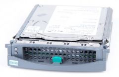 Жесткий диск Fujitsu 300 GB 10K U320 SCSI 3.5