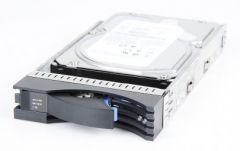 IBM 2000 GB/2 TB 6G Dual Port 7.2K SAS 3.5